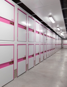 Mini storage